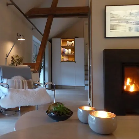 De Ole -swalbennest アパート *