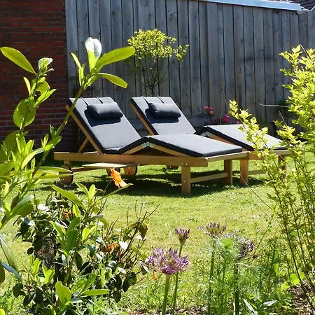 De Ole -swalbennest *