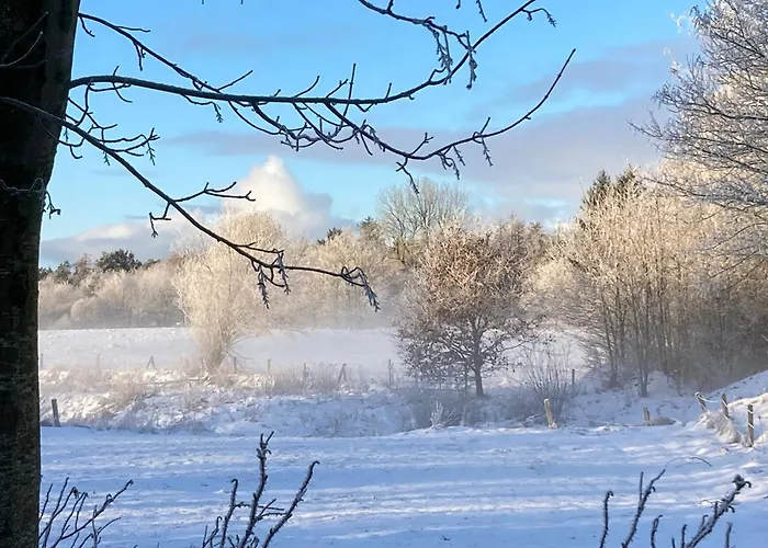 Appartement De Ole -swalbennest