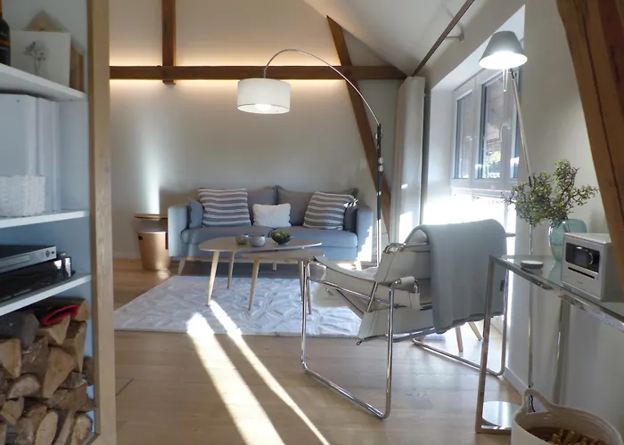 De Ole -swalbennest *