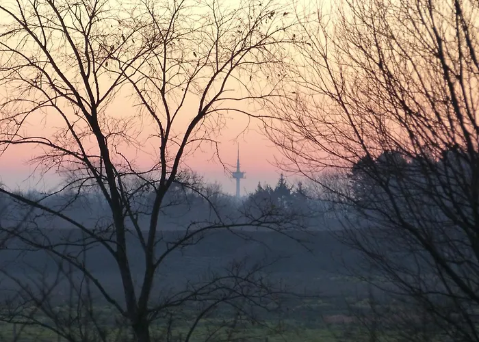 Appartement De Ole -swalbennest
