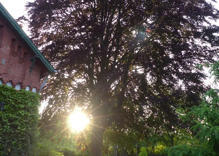 De Ole -swalbennest Lutjenholm