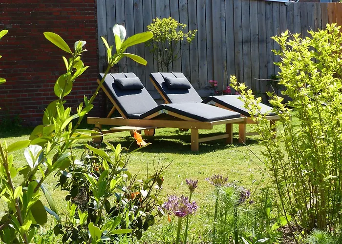 De Ole -swalbennest *